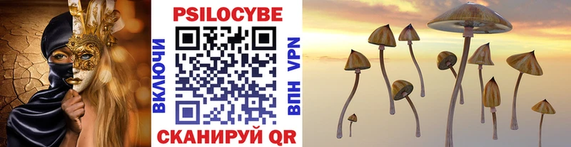 Псилоцибиновые грибы мухоморы  OMG ССЫЛКА  Приволжский 